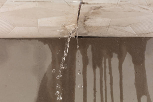 Professional Water Damage Repair technician working in Preston, WA
